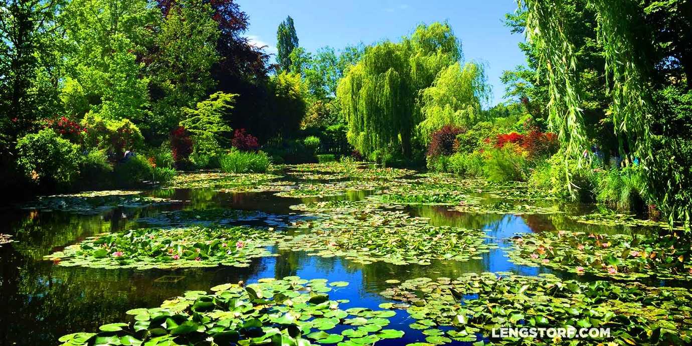 Waterlilies in Claude Monet’s garden, Giverny, France.